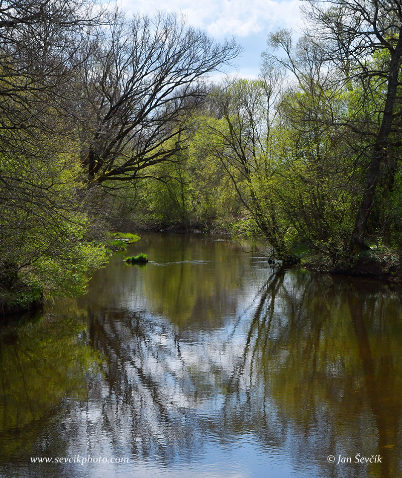 Photo of řeka Lužnice River Fluss Ncional Nature Reserve