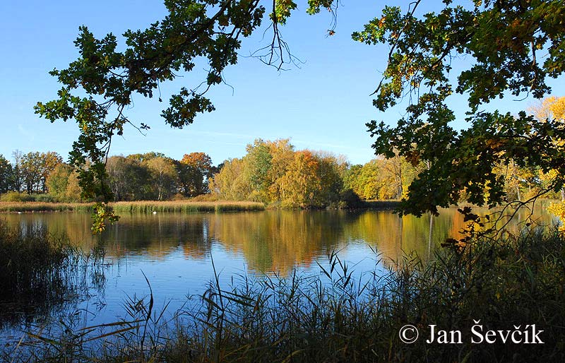 Photo of rybník Dubovec Fishpond Teich