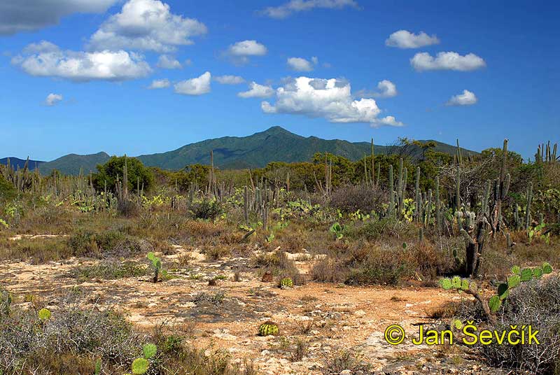 Photo of Isla Margarita Venezuela