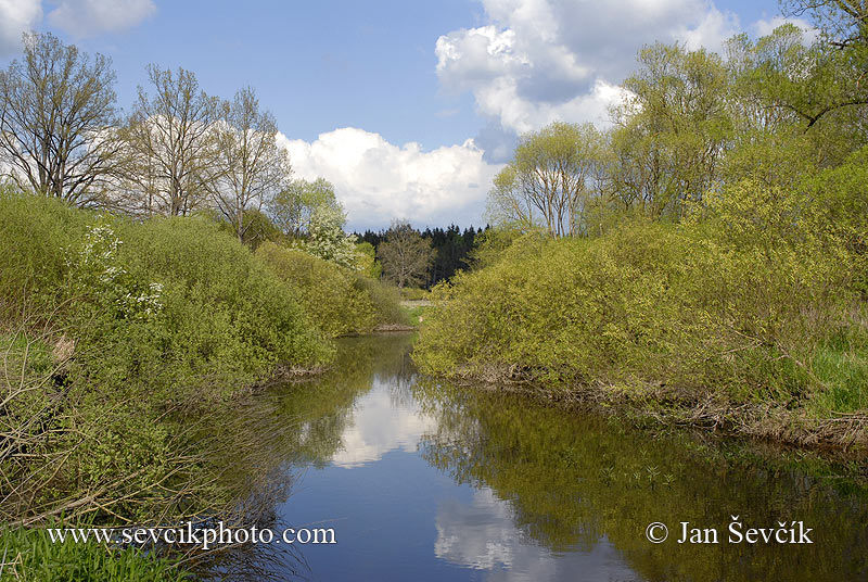 Photo of Lužnice river Nature reserve Meandry Lužnice Třeboňsko