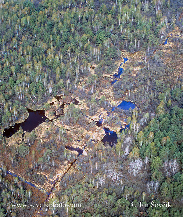 Photo of rašeliniště  Peat-Bog  Torfmoor Ruda Nature Reserve
