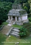 Photo of mayské město Palenque Palenque mayan ruins Mexiko