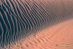 Photo of písečná duna, sand dune