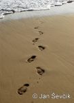 Photo of  stopy v písku footprints