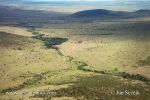 Photo of  Masai Mara
