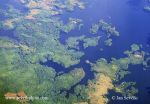 Photo of jezero lake See Gatun Panama