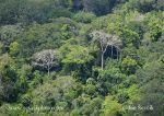 Photo of Národní park National Shimba Hills Kenya Keňa rain forest