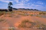 Photo of vádí v poušti  East Morocco Maroko
