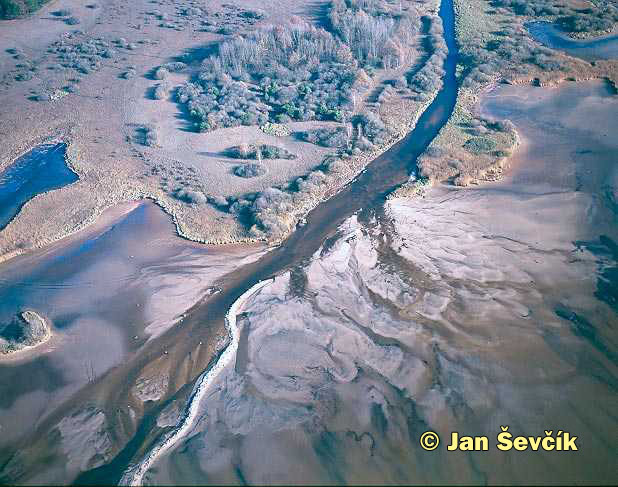 Photo of ústí Staré řeky, estuary of the Stará řeka river, Třeboňsko BR, CZ.