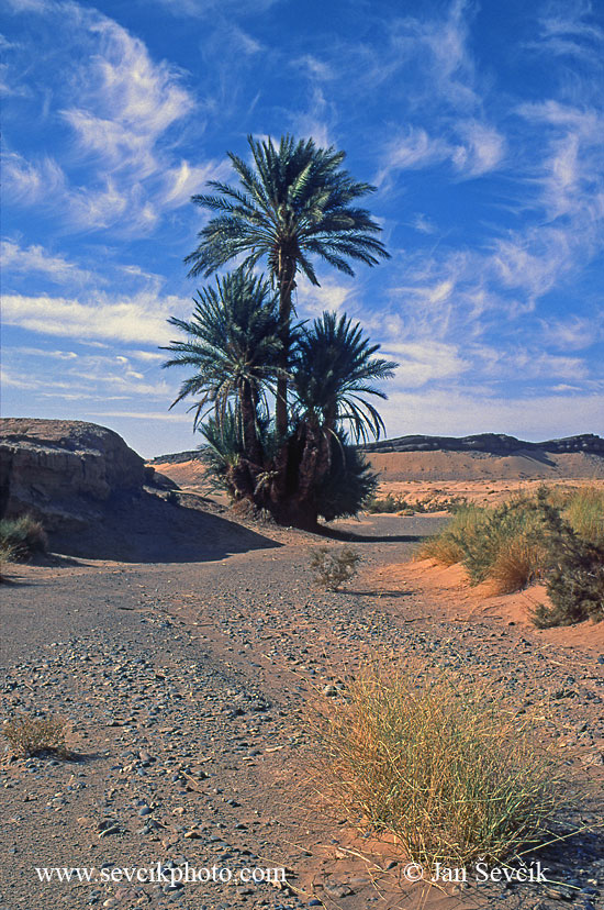 Photo of vádí v poušti  East Morocco Maroko