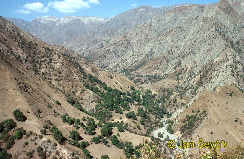 Photo of zapovednik Romit, Gissar mountains, Tadjikistan