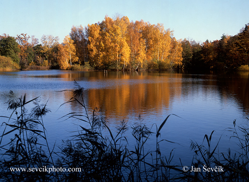 Photo of rybník Žofinka Třeboňsko Fishpond Teich